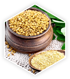 Fenugreek seeds